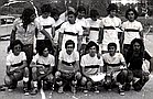 Basket Telese